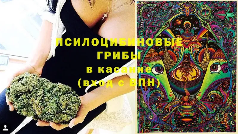 Галлюциногенные грибы Psilocybe  Ефремов 